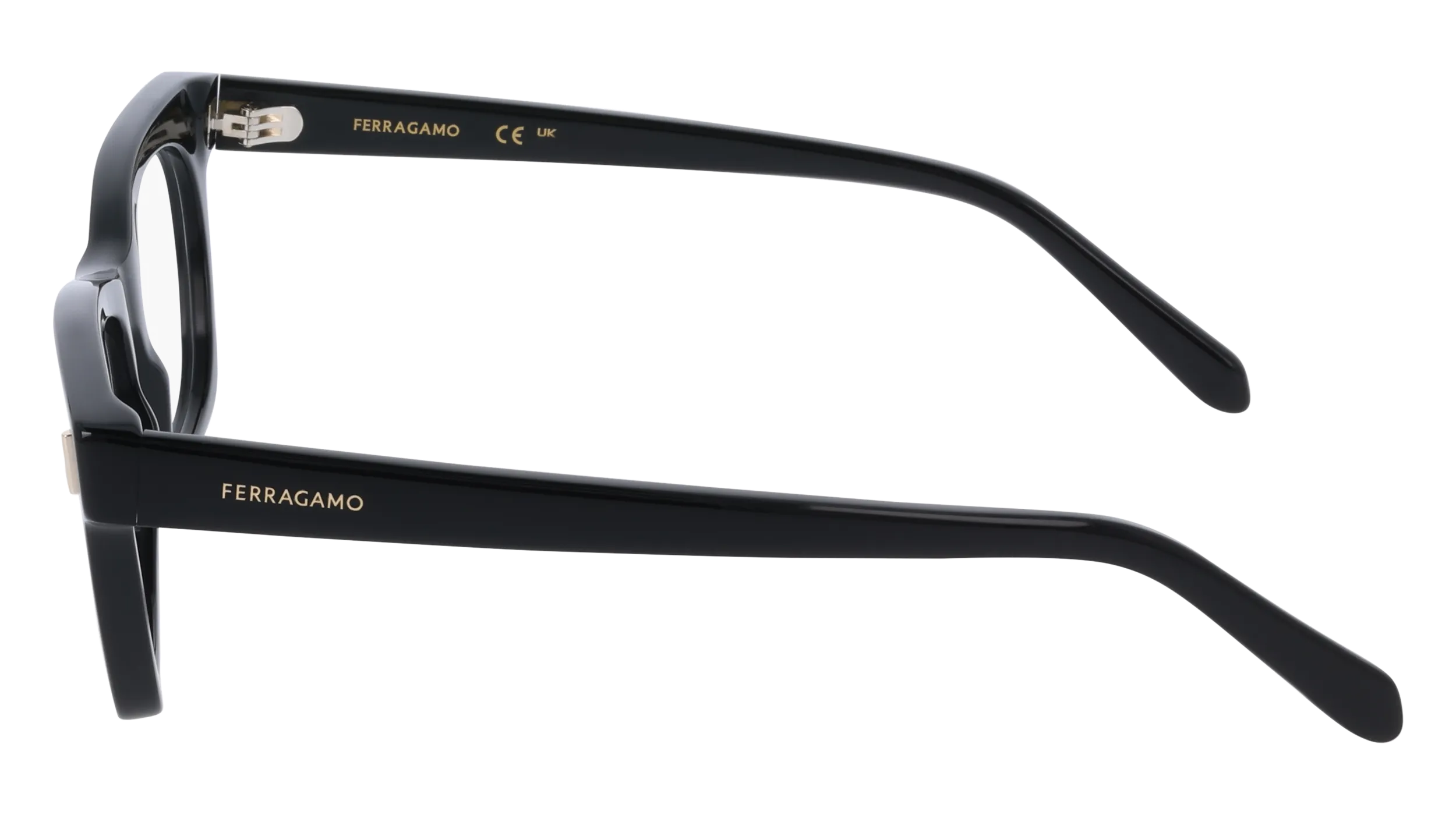 Ferragamo SF3025 1