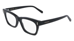 Ferragamo SF3025 1