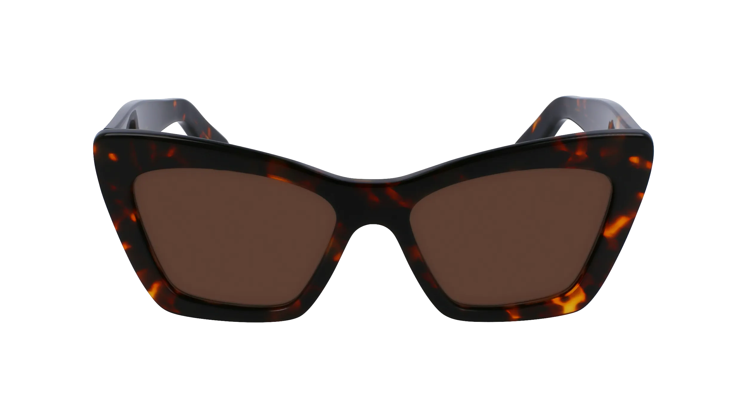 Ferragamo SF929SN 242