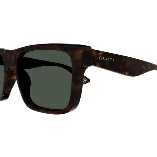 Gucci GG1618S 002