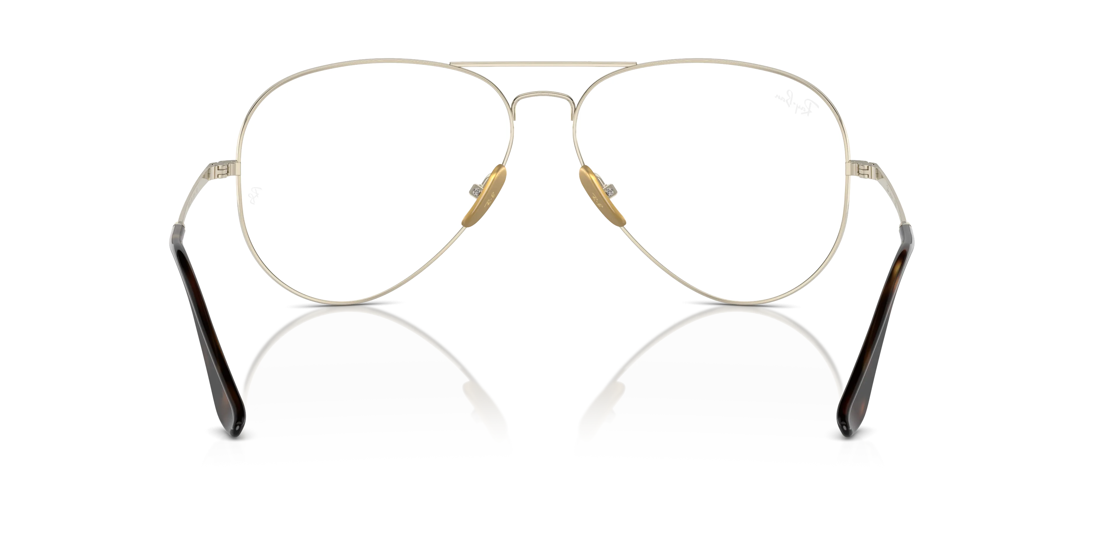 Ray-Ban Aviator Titanium RX8789 1246