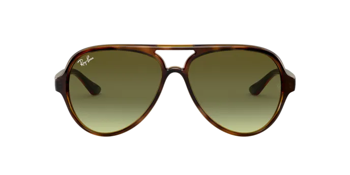 Ray-Ban Cats 5000 RB4125 710/A6