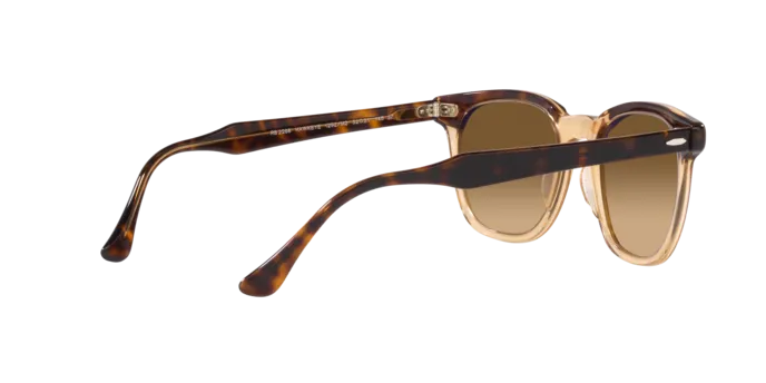 Ray-Ban Hawkeye RB2298 1292M2