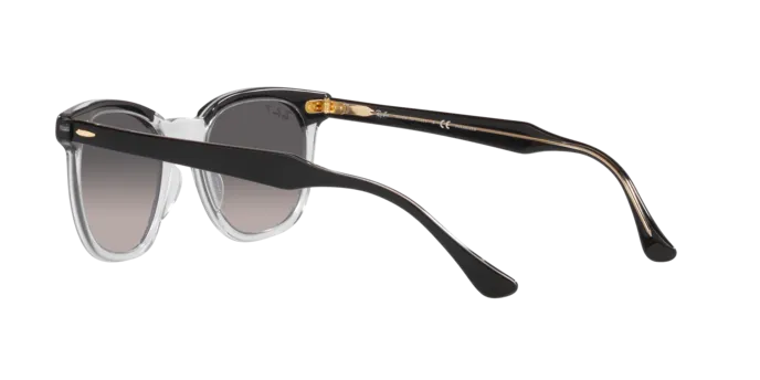 Ray-Ban Hawkeye RB2298 1294M3