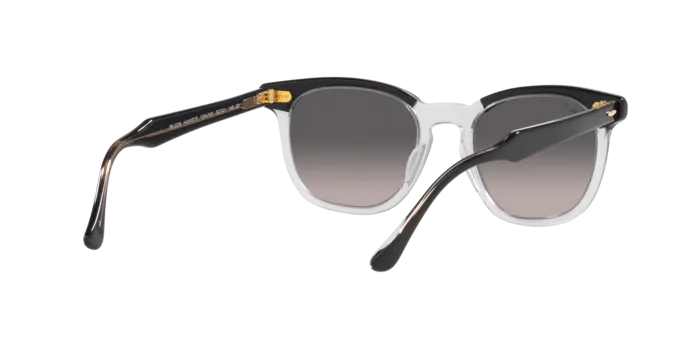 Ray-Ban Hawkeye RB2298 1294M3