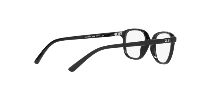 Ray-Ban Junior Leonard RY9093V 3542