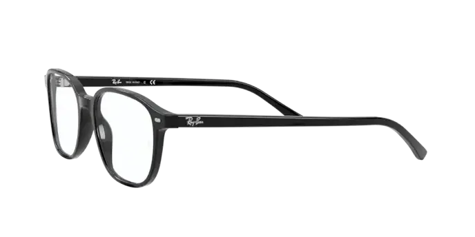 Ray-Ban Leonard RX5393 2000