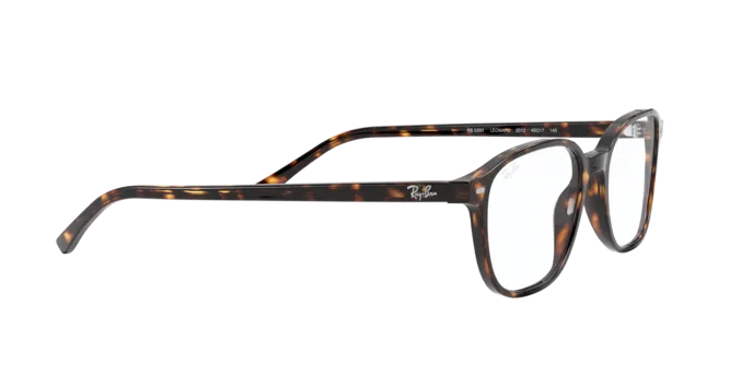 Ray-Ban Leonard RX5393 2012