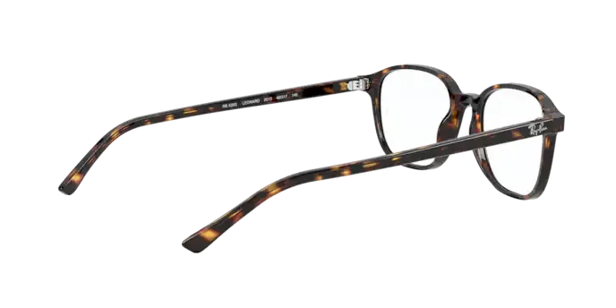 Ray-Ban Leonard RX5393 2012