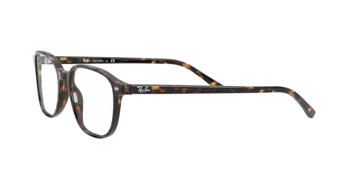 Ray-Ban Leonard RX5393 2012