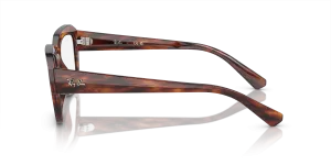 Ray-Ban Leonid RX7225 8315