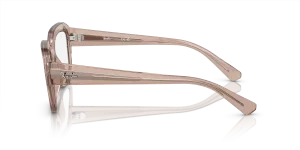 Ray-Ban Leonid RX7225 8317