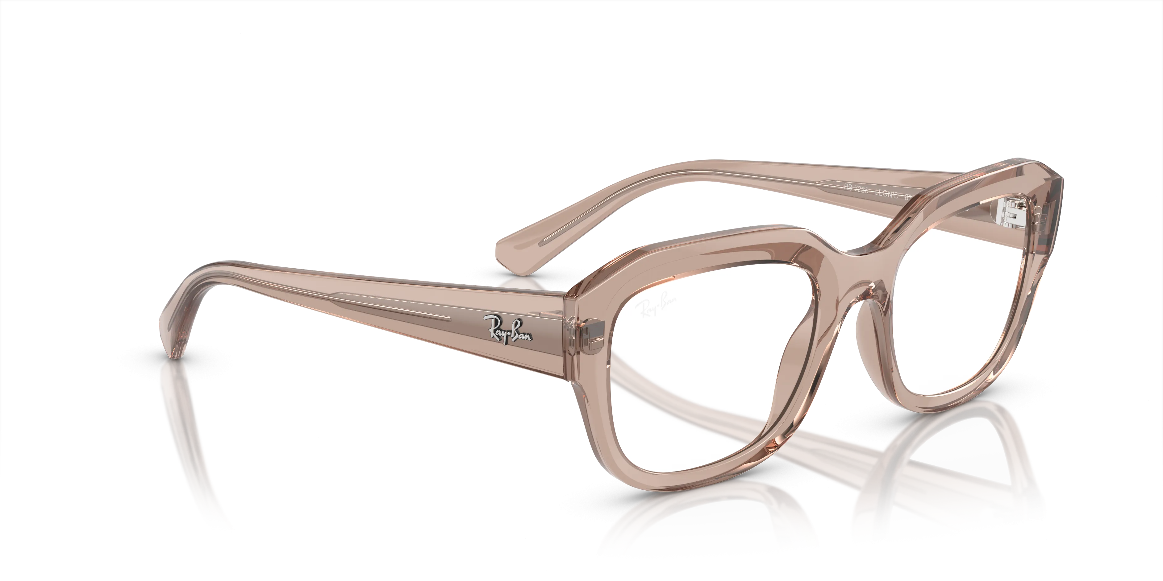 Ray-Ban Leonid RX7225 8317
