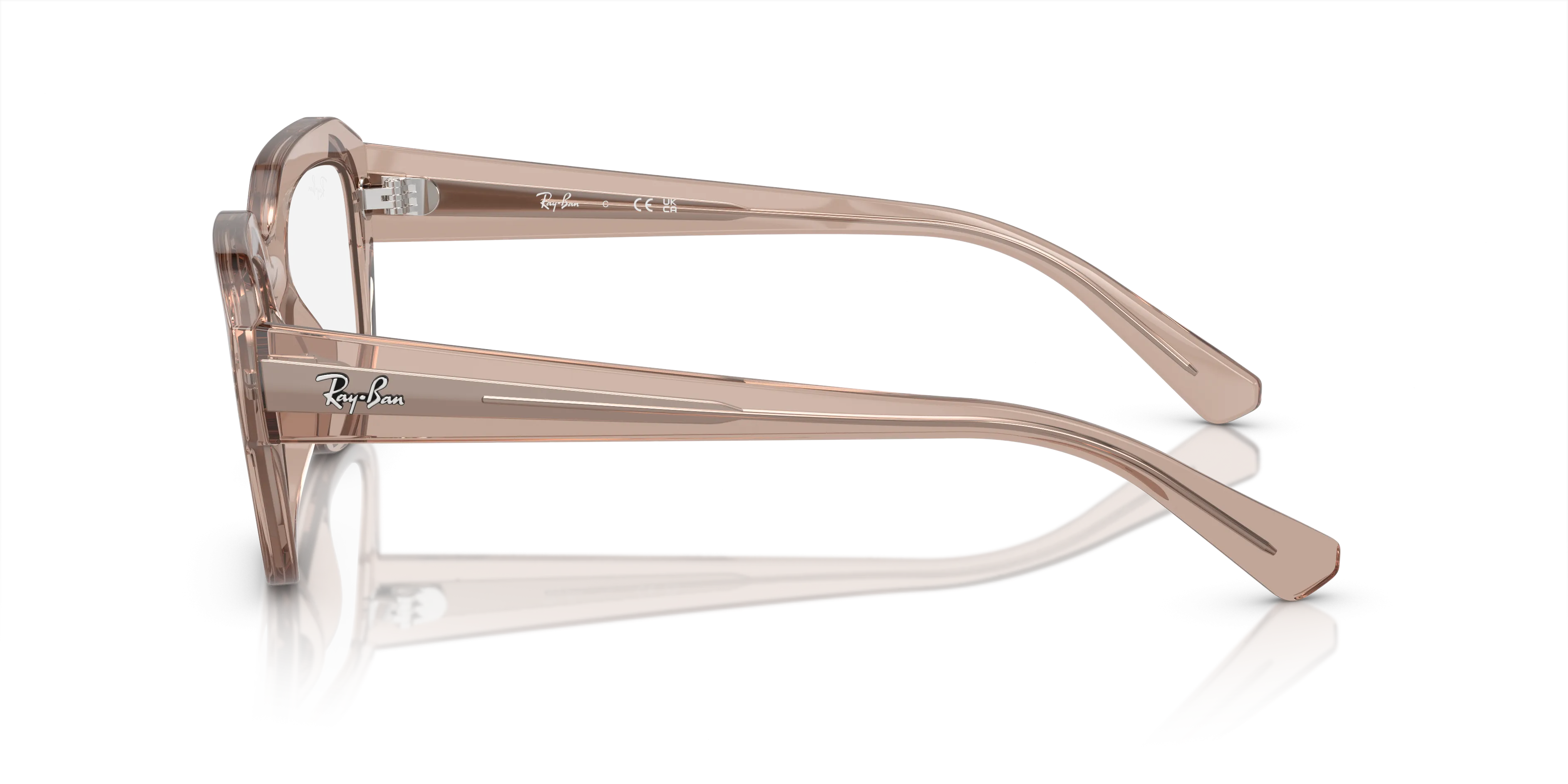 Ray-Ban Leonid RX7225 8317
