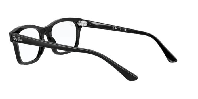 Ray-Ban Mr Burbank RX5383 2000