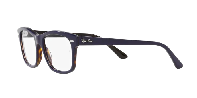 Ray-Ban Mr Burbank RX5383 8283