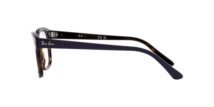 Ray-Ban Mr Burbank RX5383 8283