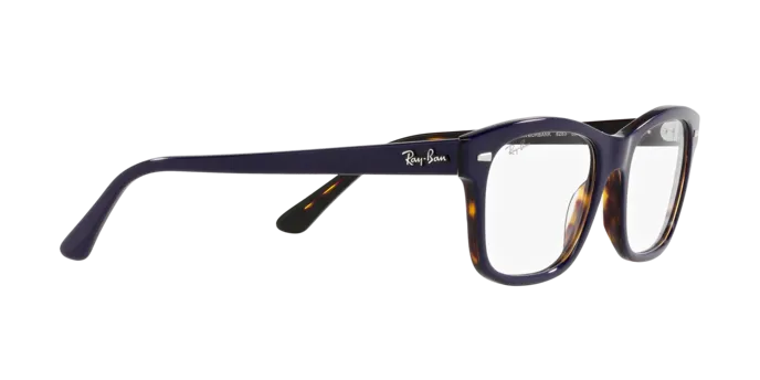 Ray-Ban Mr Burbank RX5383 8283