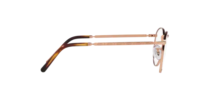 Ray-Ban New Round RX3637V 3094