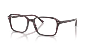 Ray-Ban Raimond RX5431 8393
