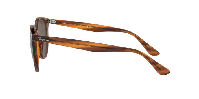 Ray-Ban RB4305 820/73