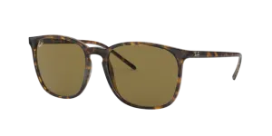 Ray-Ban RB4387 710/73