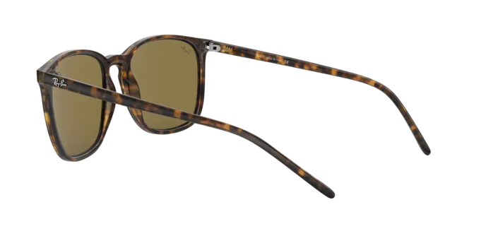 Ray-Ban RB4387 710/73