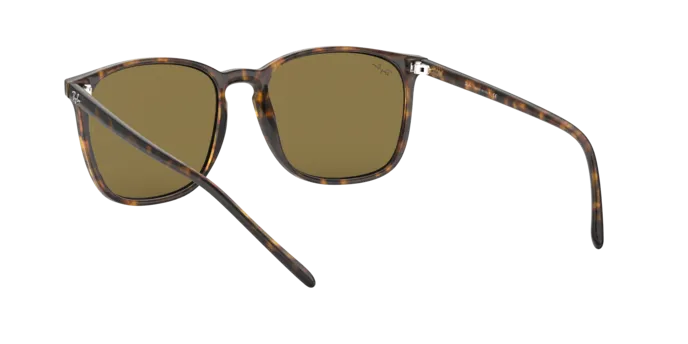 Ray-Ban RB4387 710/73