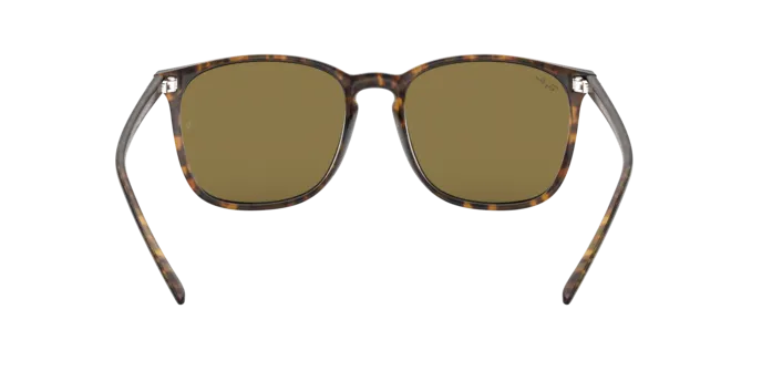Ray-Ban RB4387 710/73