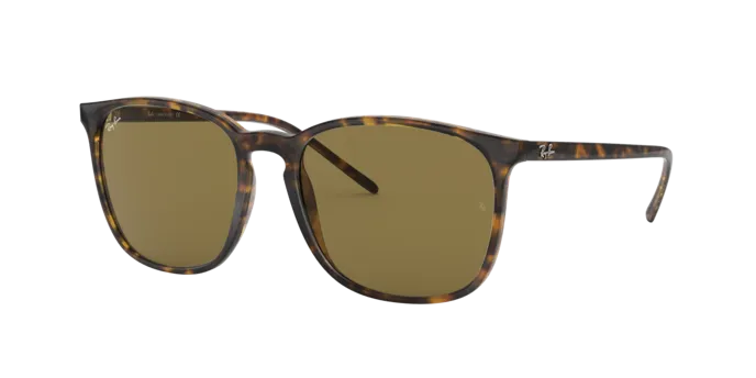 Ray-Ban RB4387 710/73