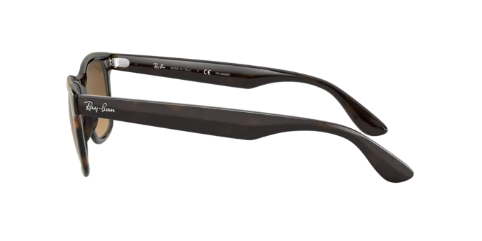 Ray-Ban RB4640 710/M2