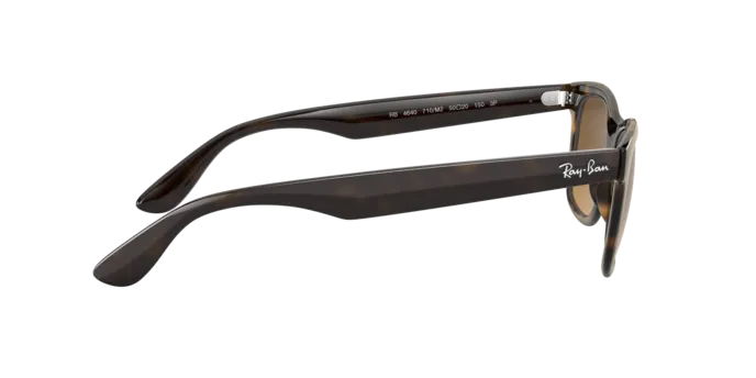 Ray-Ban RB4640 710/M2