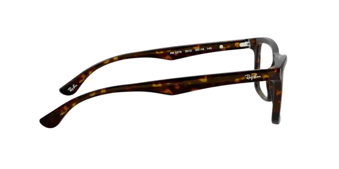 Ray-Ban RX5279 2012