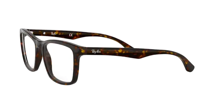 Ray-Ban RX5279 2012