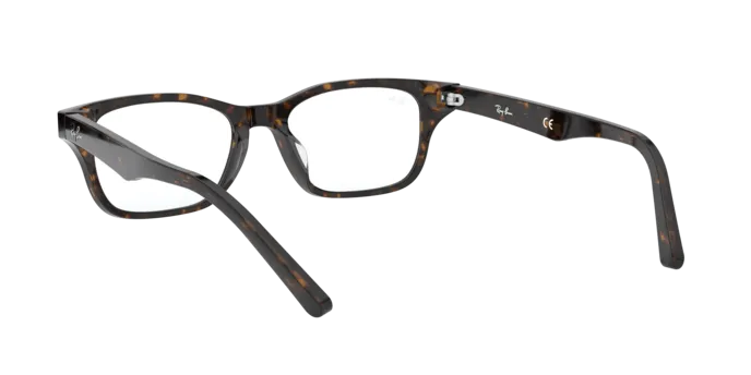 Ray-Ban RX5345D 2012