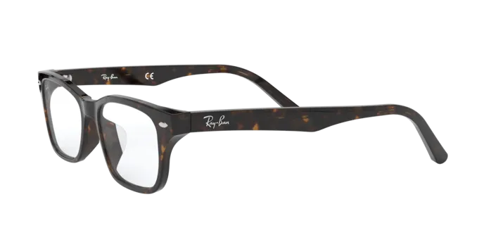 Ray-Ban RX5345D 2012