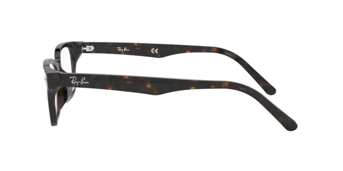 Ray-Ban RX5345D 2012
