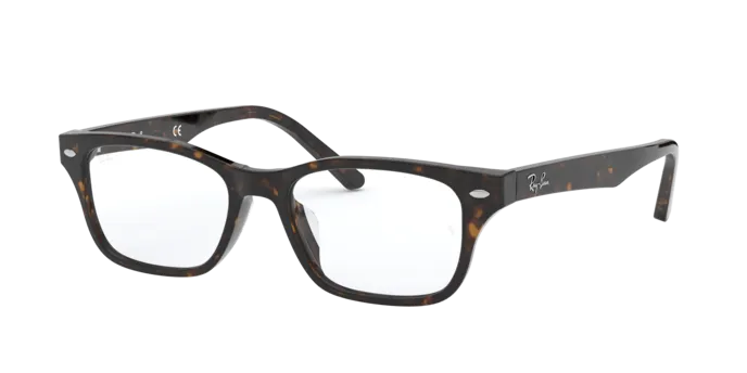 Ray-Ban RX5345D 2012