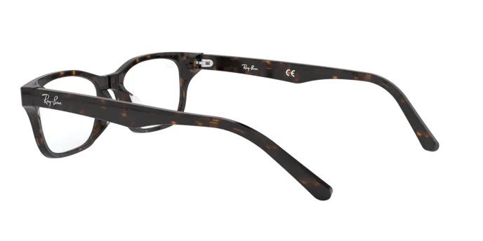 Ray-Ban RX5345D 2012