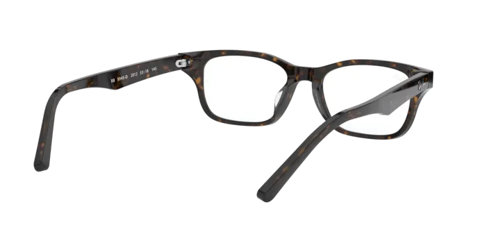 Ray-Ban RX5345D 2012