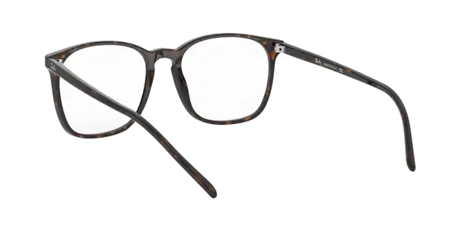 Ray-Ban RX5387 2012