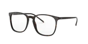 Ray-Ban RX5387 2012