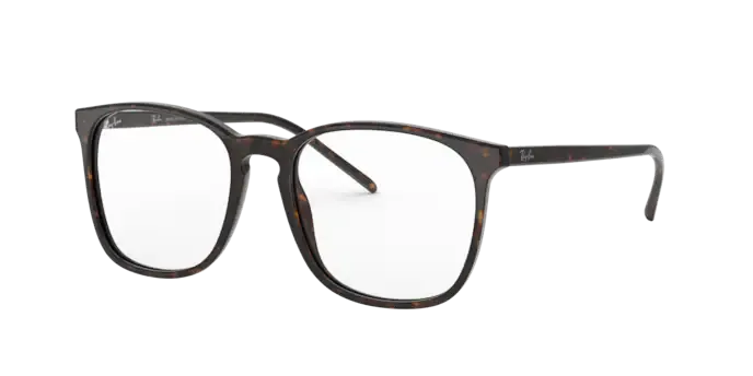 Ray-Ban RX5387 2012
