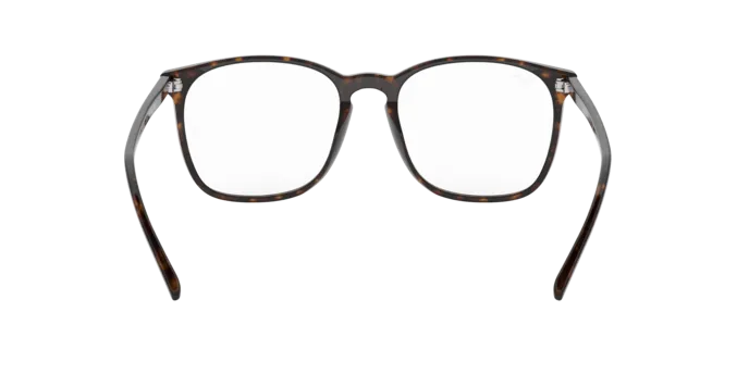 Ray-Ban RX5387 2012