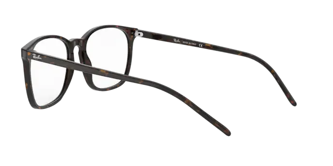 Ray-Ban RX5387 2012