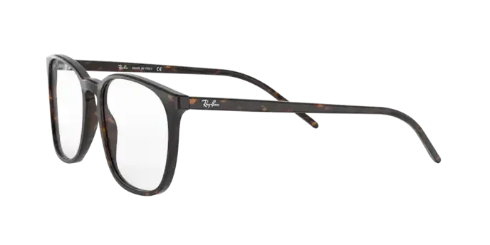 Ray-Ban RX5387 2012