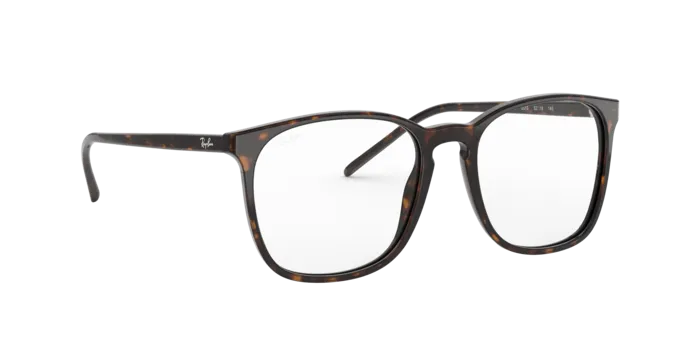 Ray-Ban RX5387 2012