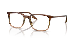 Ray-Ban RX5421 8255