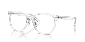 Ray-Ban RX5425D 2001