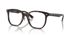 Ray-Ban RX5425D 2012